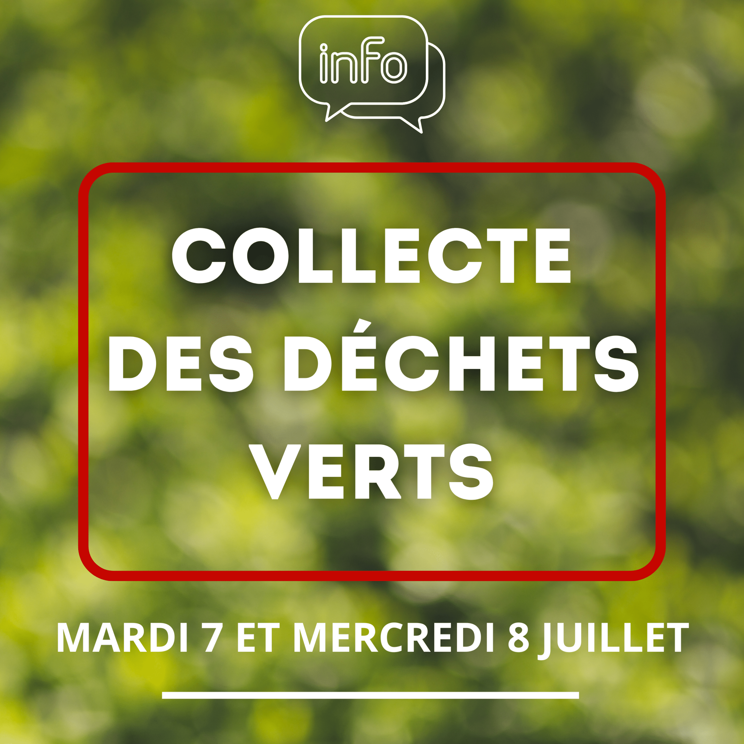 Blanc Vert Moderne Collecte de déchets Post Instagram